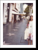 Sunset Boulevard 1983 Sunset Boulevard 1983